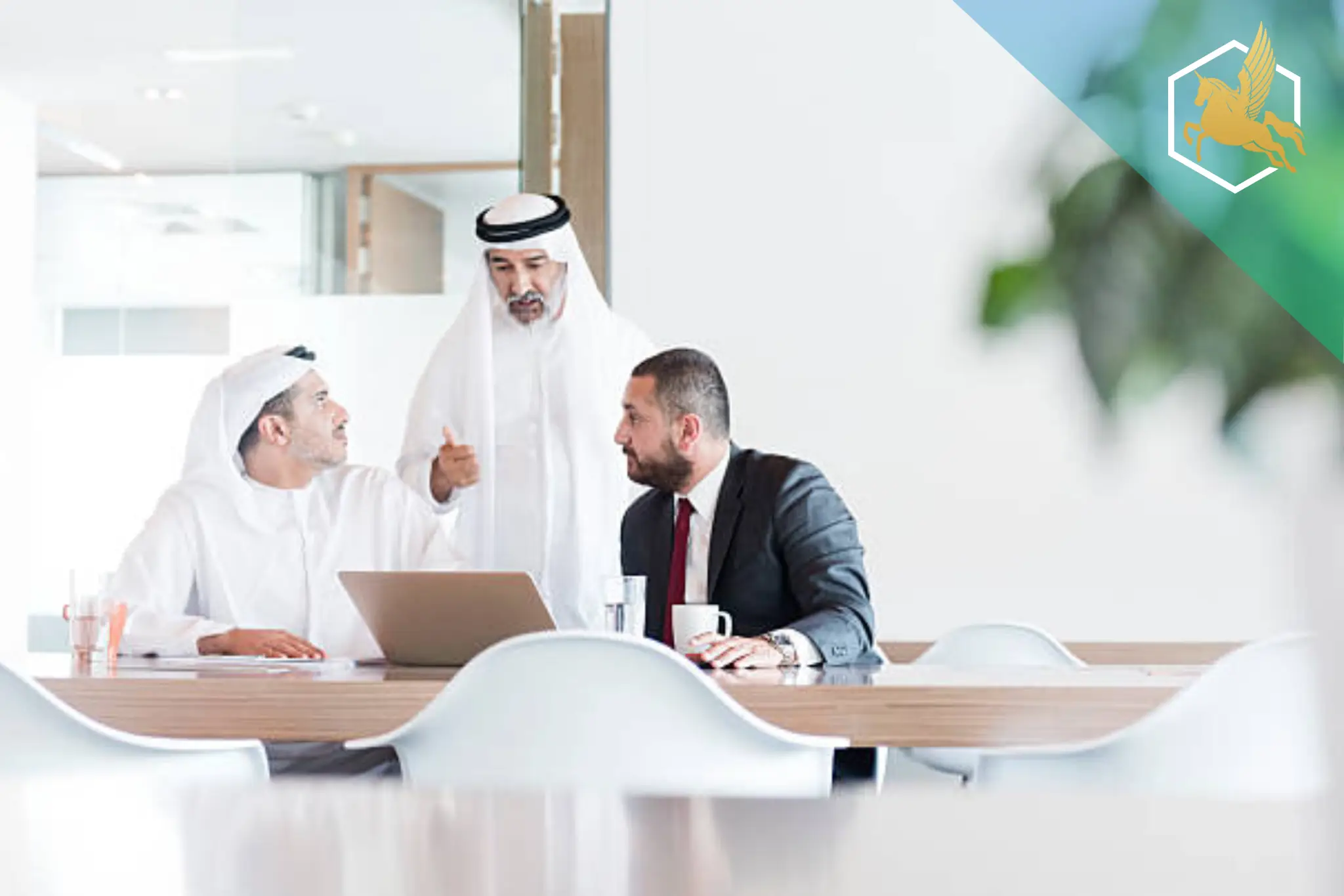 Sao Tome and Principe Subsidiary Company