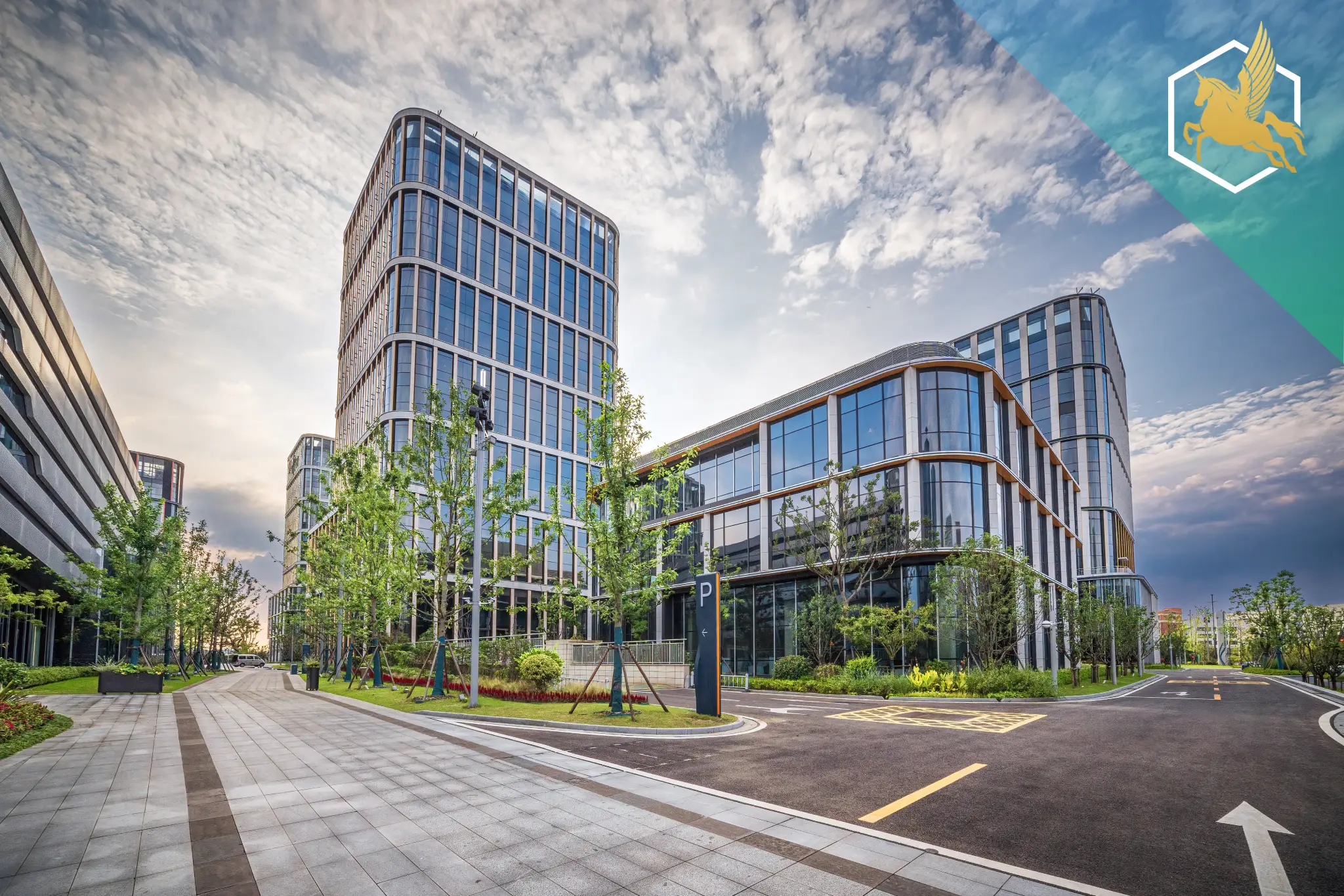 Zambia Subsidiary Company