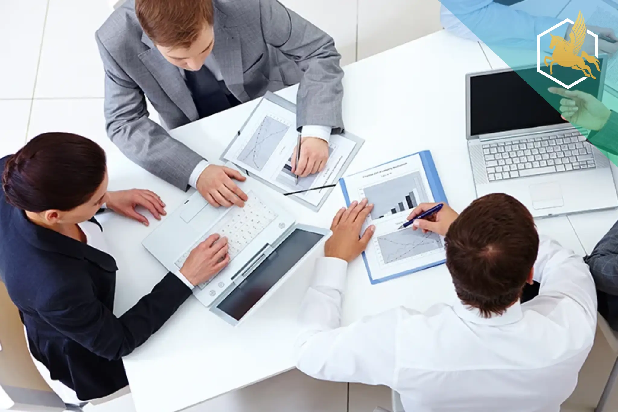 business setup opportunities