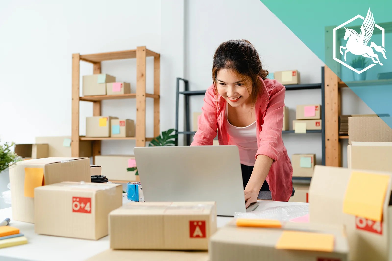 Freezone E Commerce Licence