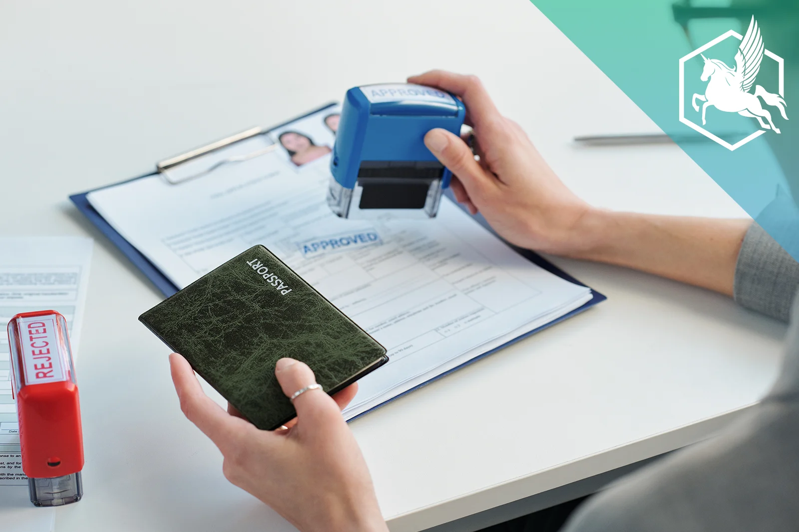 Professional License with Visa