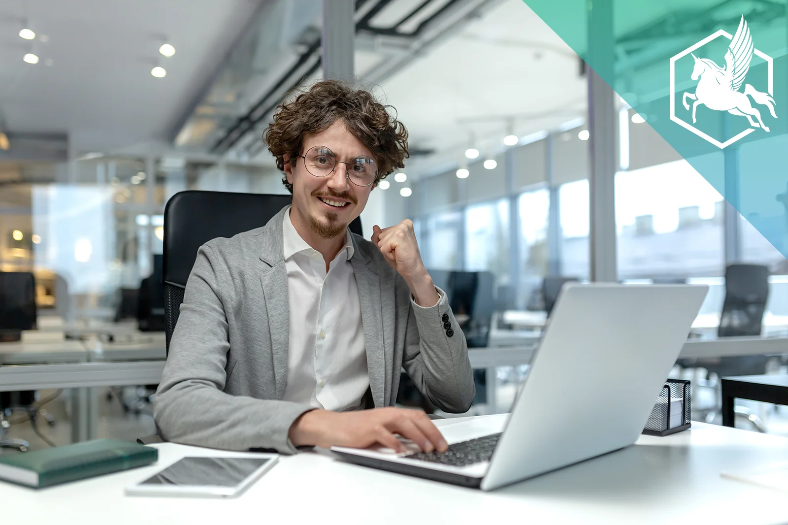 Professional license Instant License