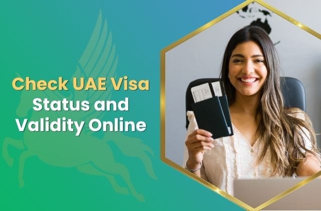 Quick and Simple Ways to Check UAE Visa Status and Validity Online