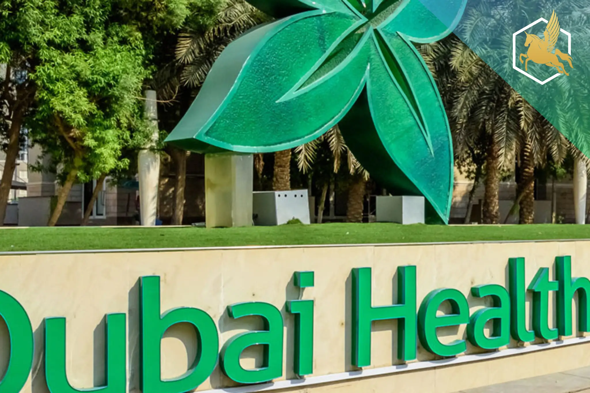 Dubai Healthcare City