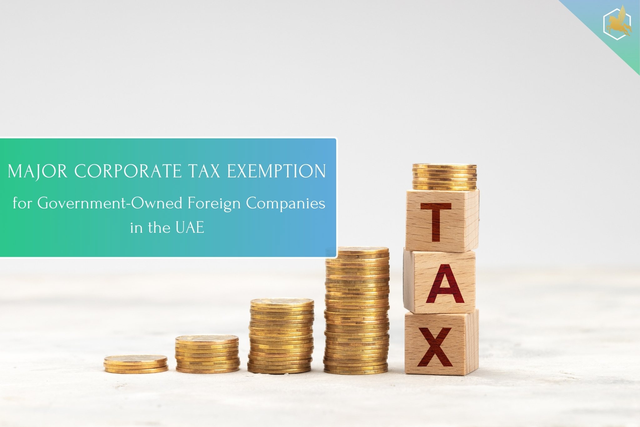 Corporate Tax Exemption