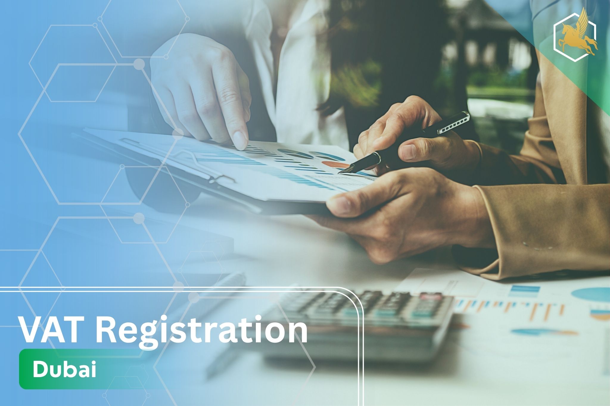 迪拜增值税登记| 增值税证书完整指南