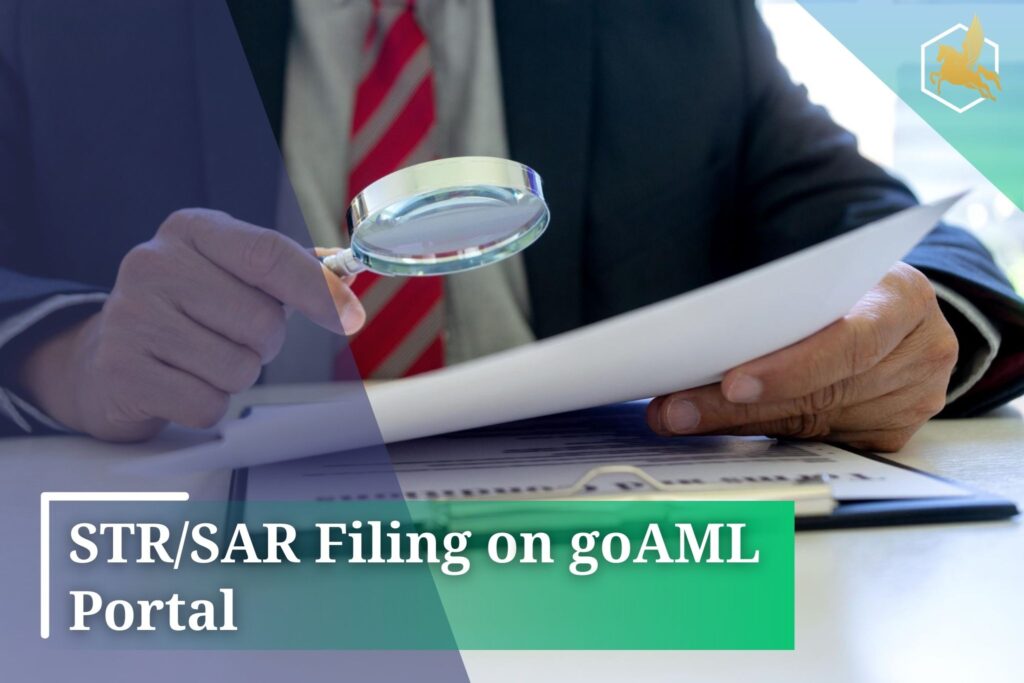 STRSAR Filing on goAML Portal