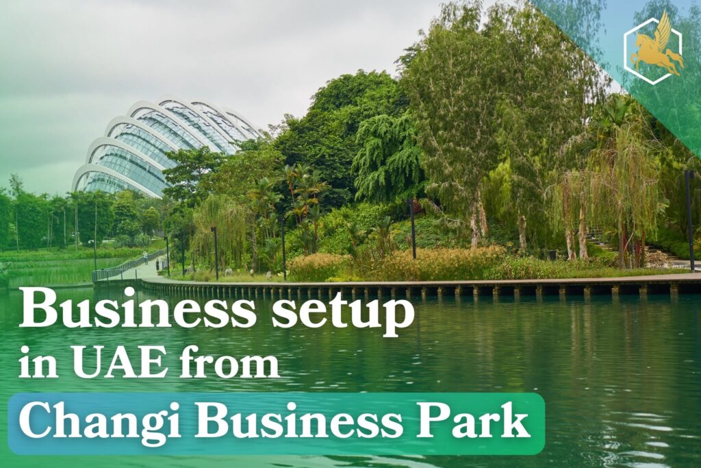 Business setup in UAE from Changi Business Park