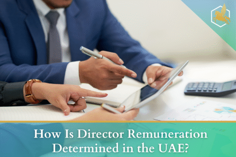 Director Remuneration