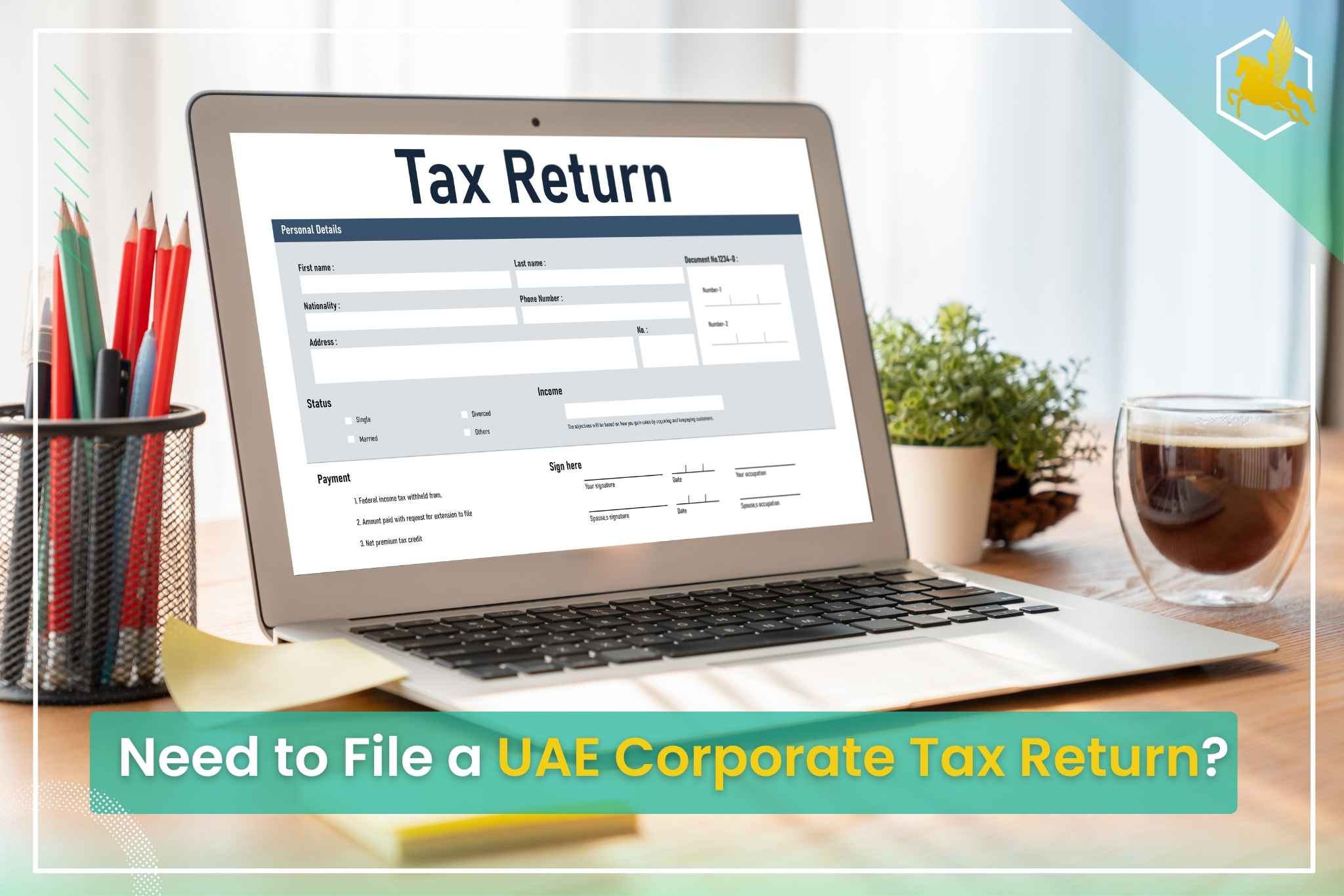 File a Corporate Tax Return in UAe