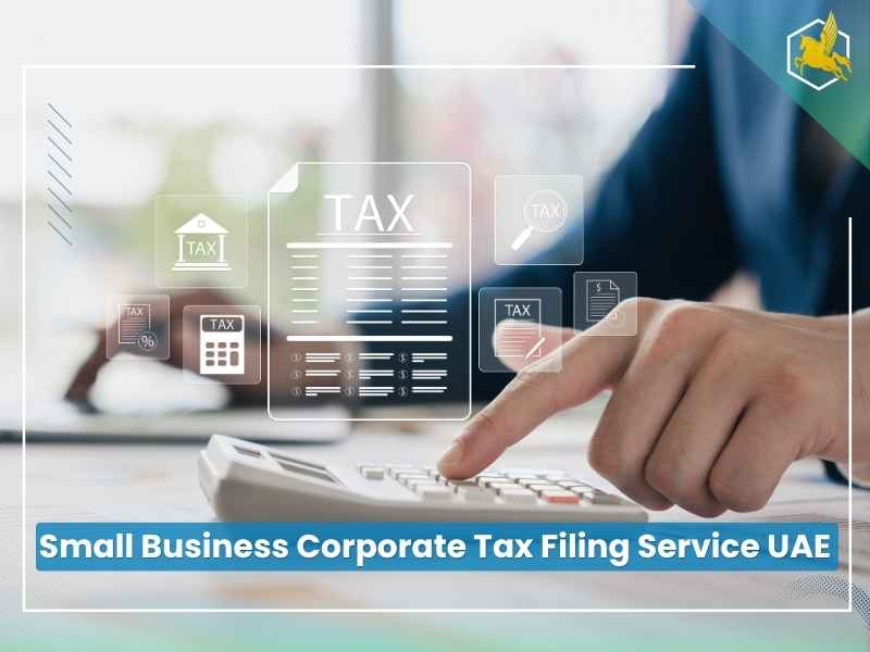 Small Business Corporate Tax Filing Service UAE