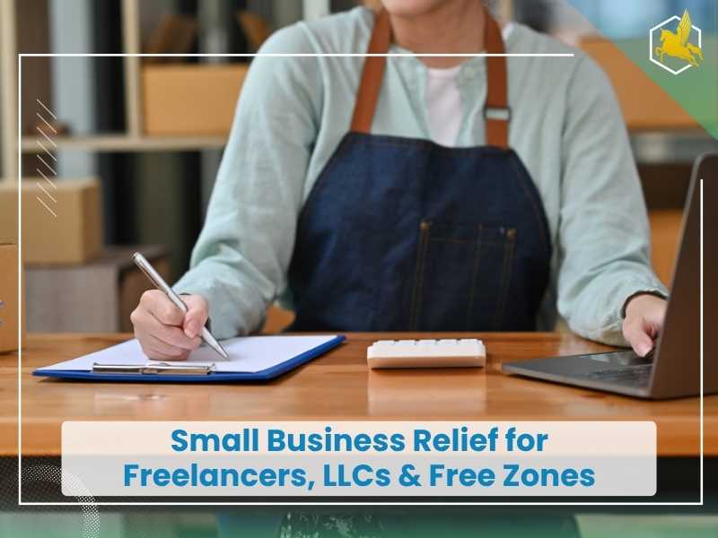 Small Business Relief for Freelancers